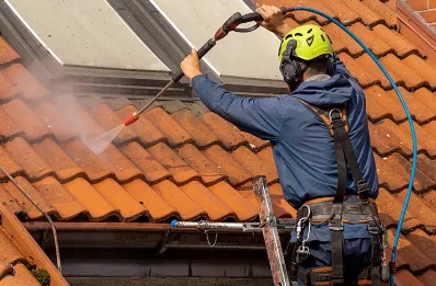 Démoussage et hydrofuge de toiture à Bellecombe-Tarendol